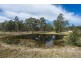 171 BURRAGAN ROAD, Coutts Crossing NSW 2460