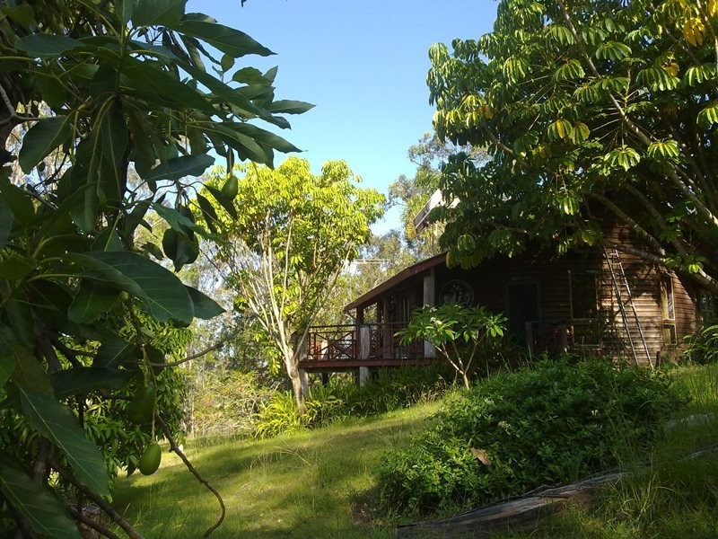 174 Frickers Road, Nymboida NSW 2460