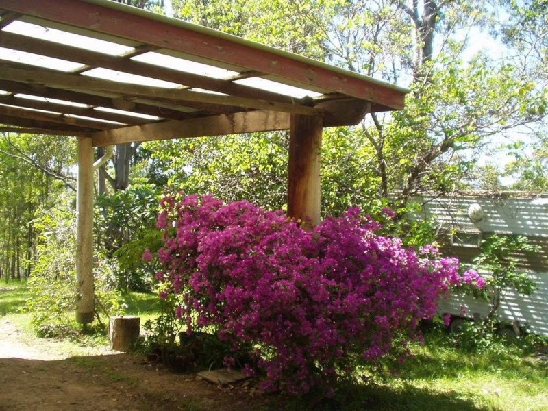 174 Frickers Road, Nymboida NSW 2460