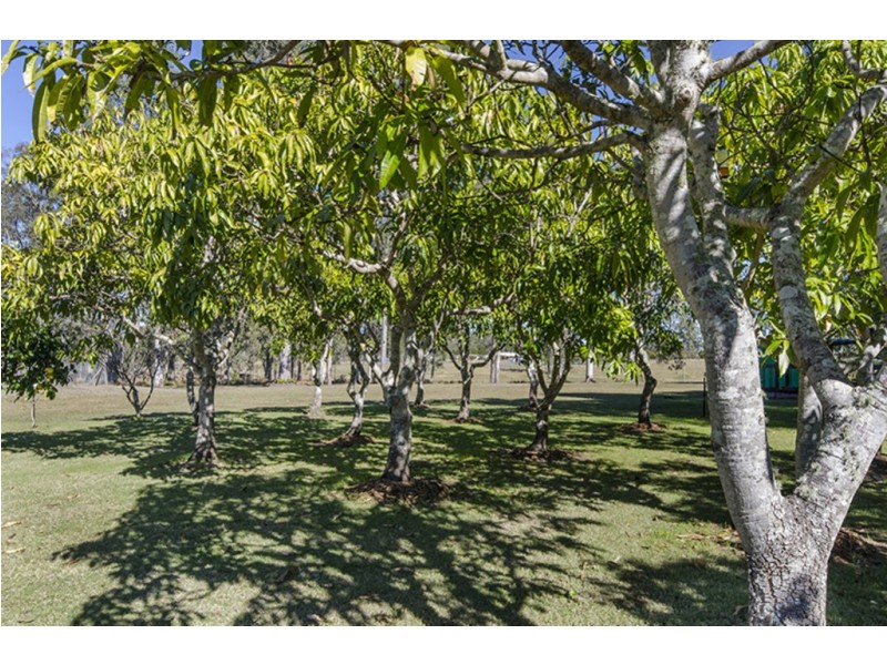 128 Centenary Drive, Clarenza NSW 2460