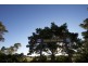 5 Elm Street, Rothwell QLD 4022