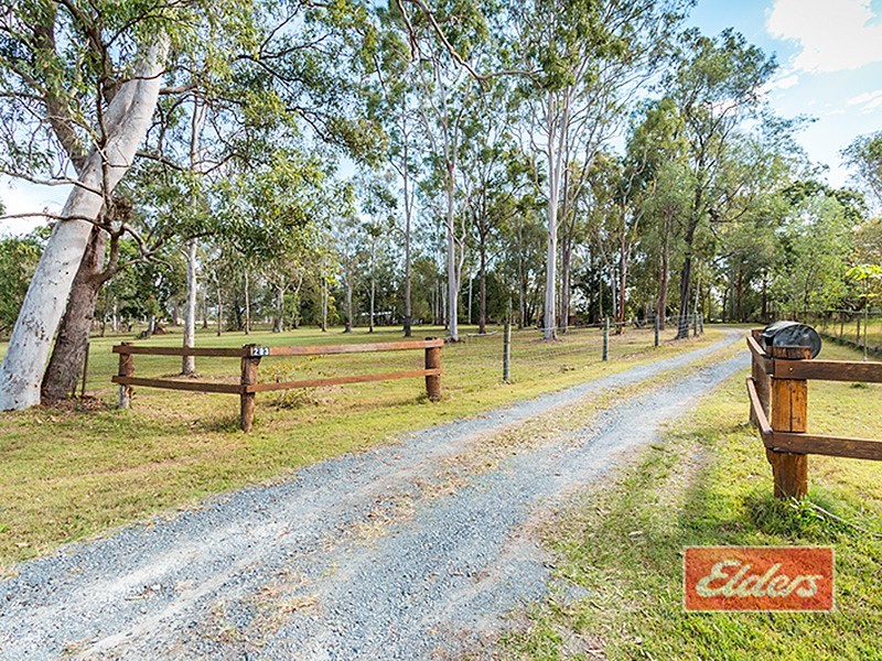 283 Mountain Ridge Road, South Maclean QLD 4280