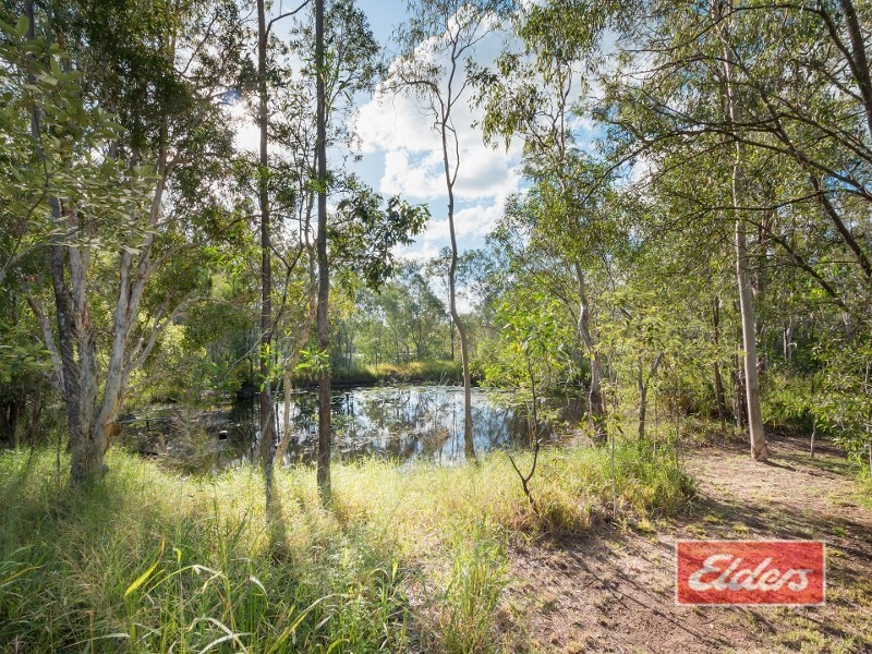 193 Maryland Street, Jimboomba QLD 4280