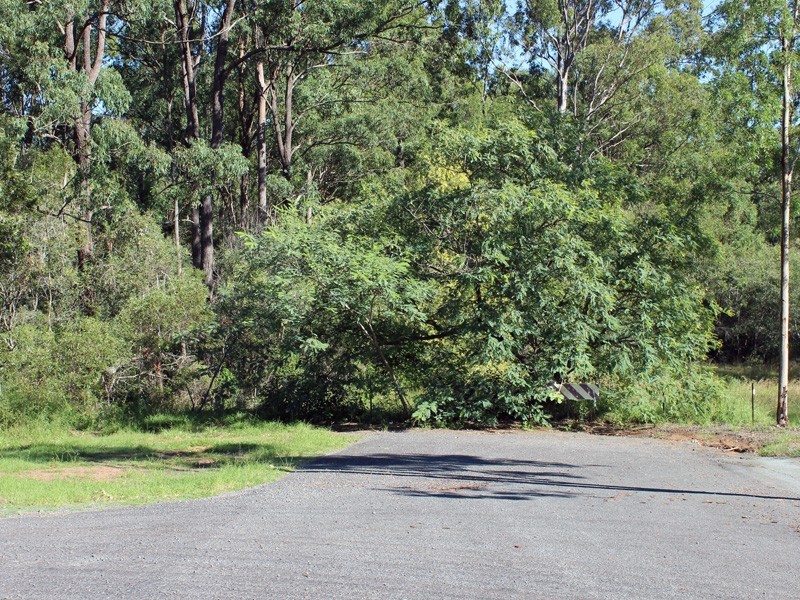 Lot 100 Michelle Drive, Cedar Grove QLD 4285