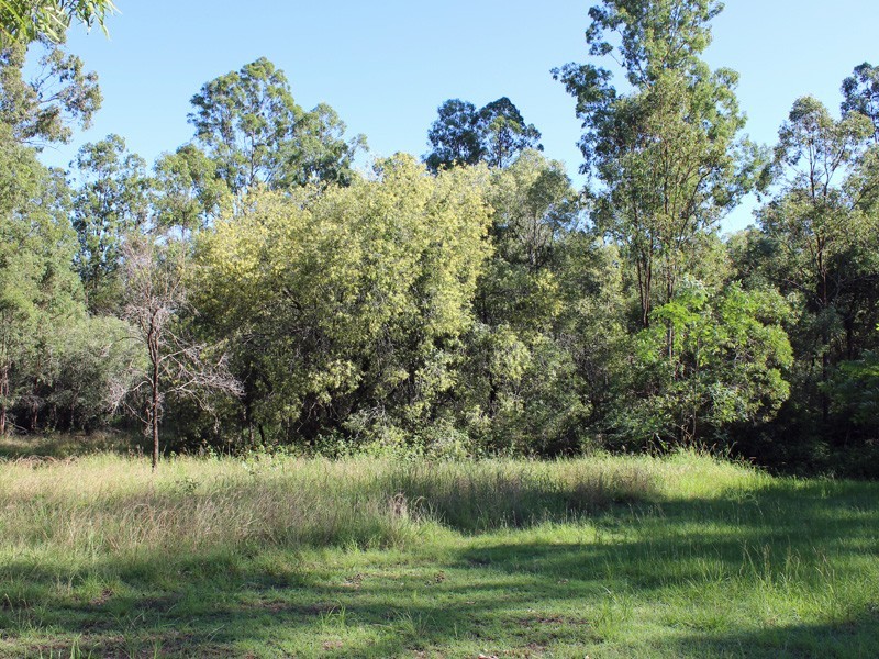 Lot 100 Michelle Drive, Cedar Grove QLD 4285