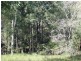 Lot 100 Michelle Drive, Cedar Grove QLD 4285