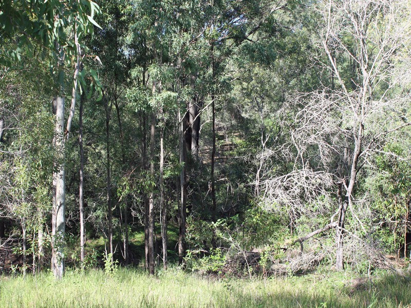 Lot 100 Michelle Drive, Cedar Grove QLD 4285