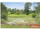 59 Blackbean Street, Cedar Vale QLD 4285