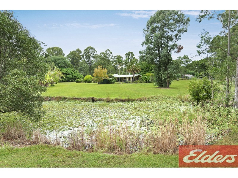59 Blackbean Street, Cedar Vale QLD 4285