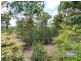 125 Harrison Road, Cedar Vale QLD 4285