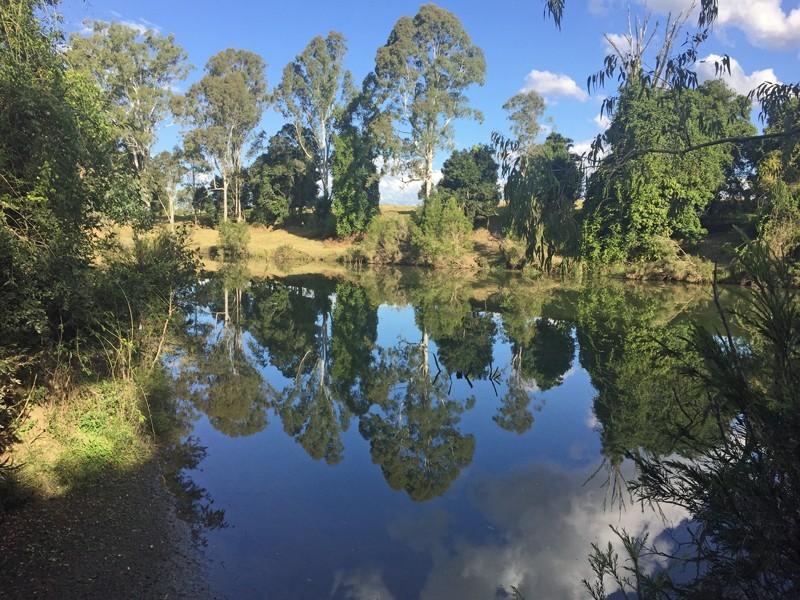 Lot 146 Bushland Road, Jimboomba QLD 4280