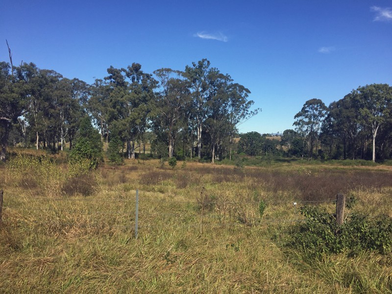 Lot 146 Bushland Road, Jimboomba QLD 4280