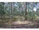 Lot 146 Bushland Road, Jimboomba QLD 4280