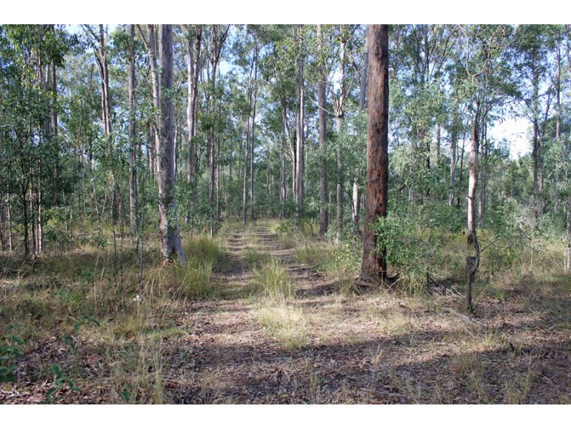 Lot 146 Bushland Road, Jimboomba QLD 4280