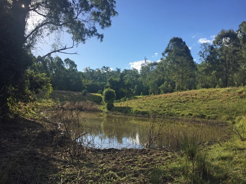Lot 146 Bushland Road, Jimboomba QLD 4280