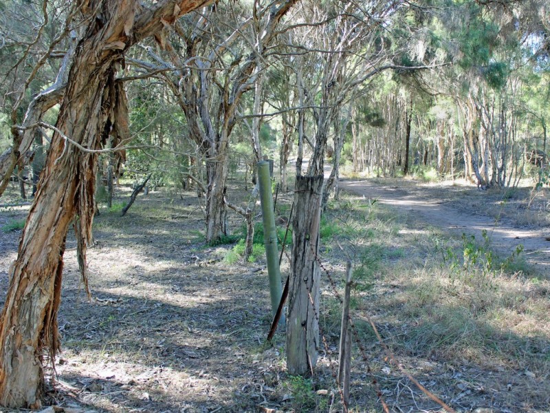 132 Redwood Circle, Jimboomba QLD 4280