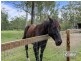 1033 Teviot Road, South Maclean QLD 4280