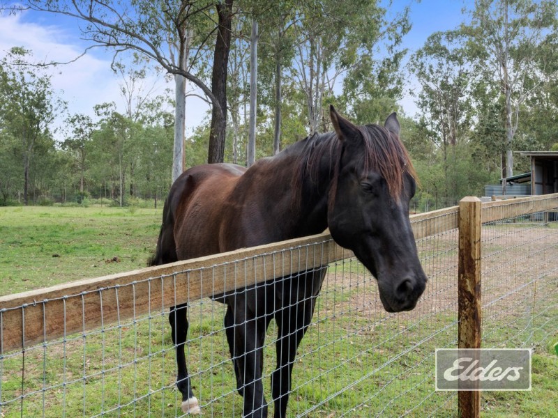 1033 Teviot Road, South Maclean QLD 4280