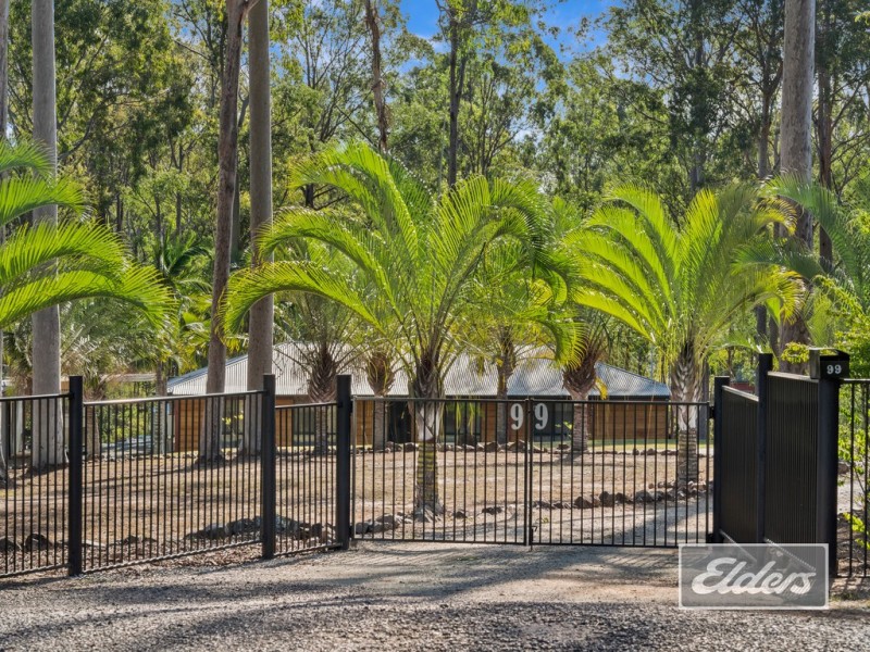 99 Ashwood Drive, Cedar Vale QLD 4285