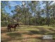 99 Ashwood Drive, Cedar Vale QLD 4285