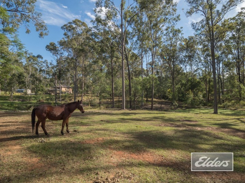 99 Ashwood Drive, Cedar Vale QLD 4285