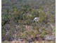 36 Harrison Road, Cedar Vale QLD 4285