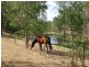 178 Deltoro Road, Cedar Grove QLD 4285