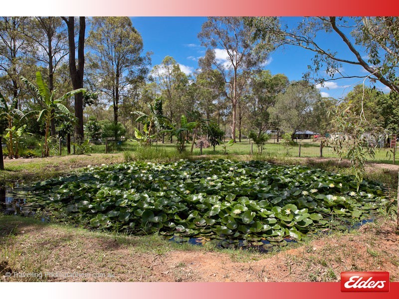 20 Leopardwood Road, Cedar Grove QLD 4285