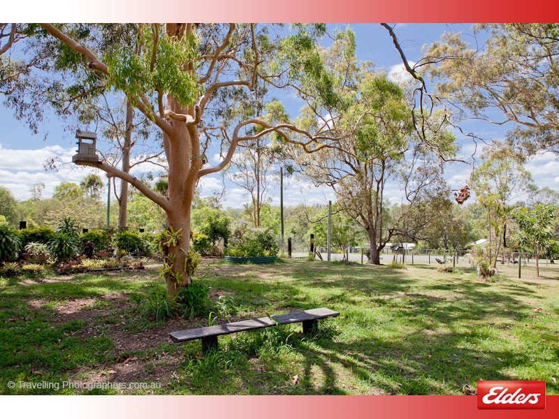 20 Leopardwood Road, Cedar Grove QLD 4285