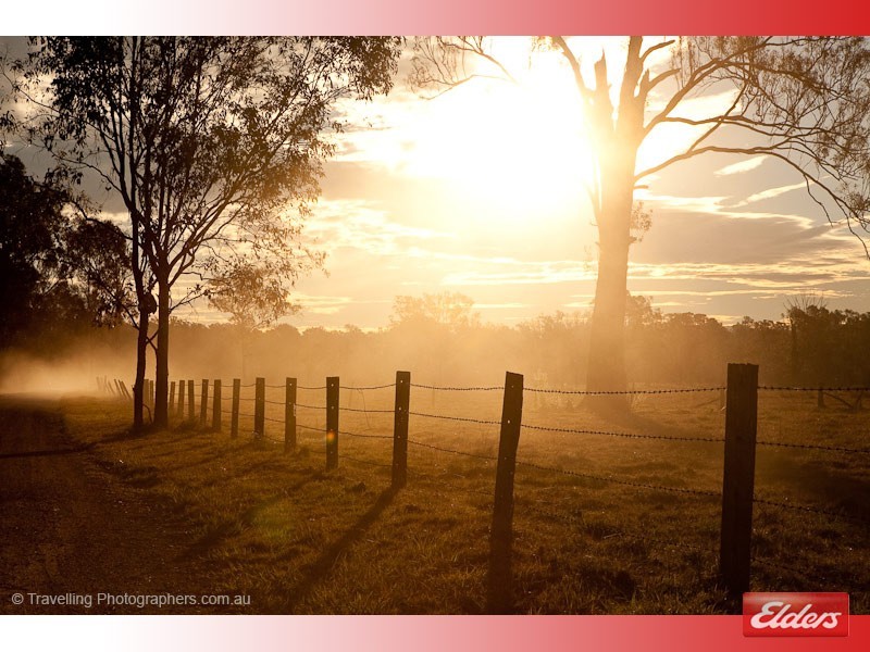 116 Humphries Road, South Maclean QLD 4280