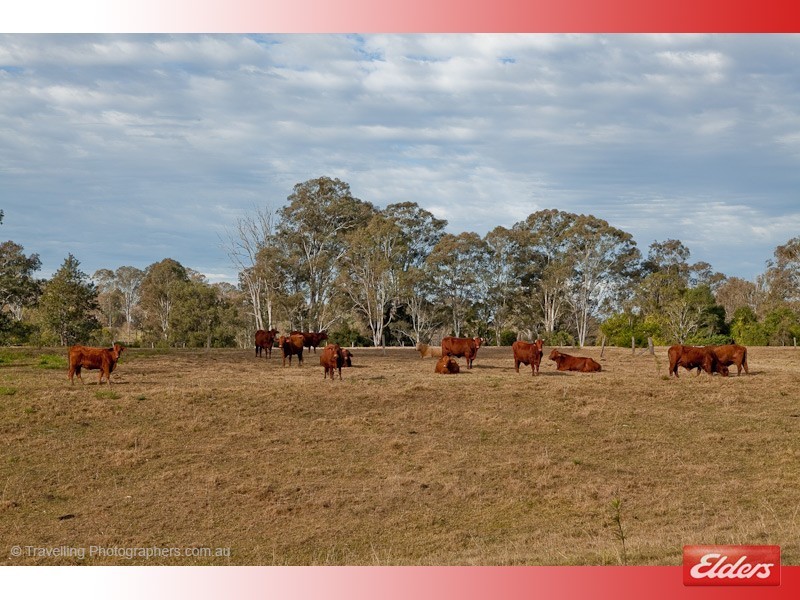 116 Humphries Road, South Maclean QLD 4280