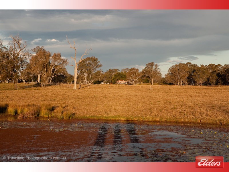 116 Humphries Road, South Maclean QLD 4280