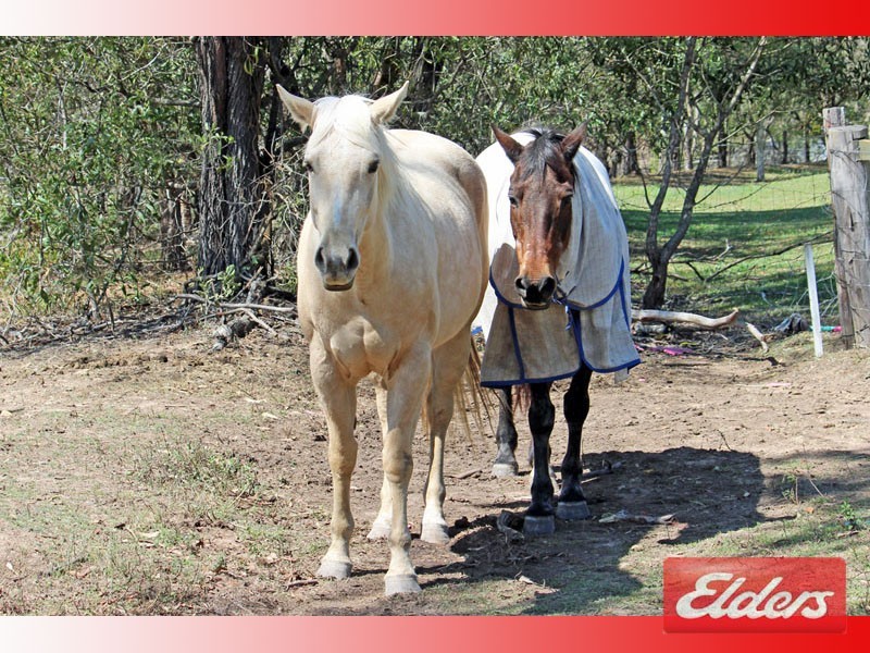 314 Mundoolun Road, Jimboomba QLD 4280