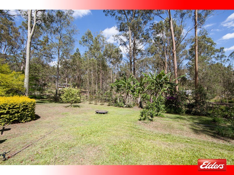 99 Ashwood Drive, Cedar Vale QLD 4285