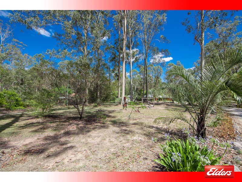 99 Ashwood Drive, Cedar Vale QLD 4285