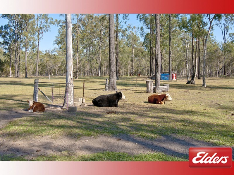 215 Alfred Road, Jimboomba QLD 4280