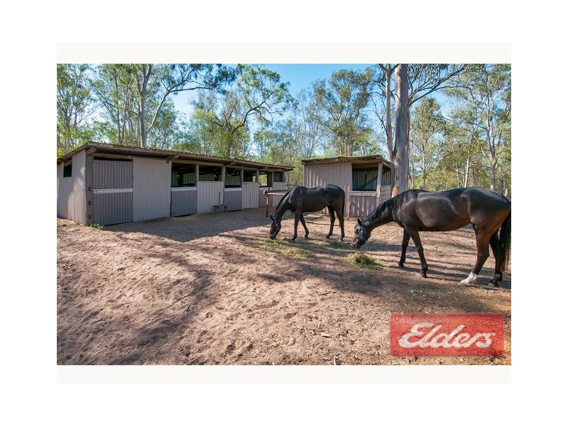 283-291 Mountain Ridge Road, South Maclean QLD 4280