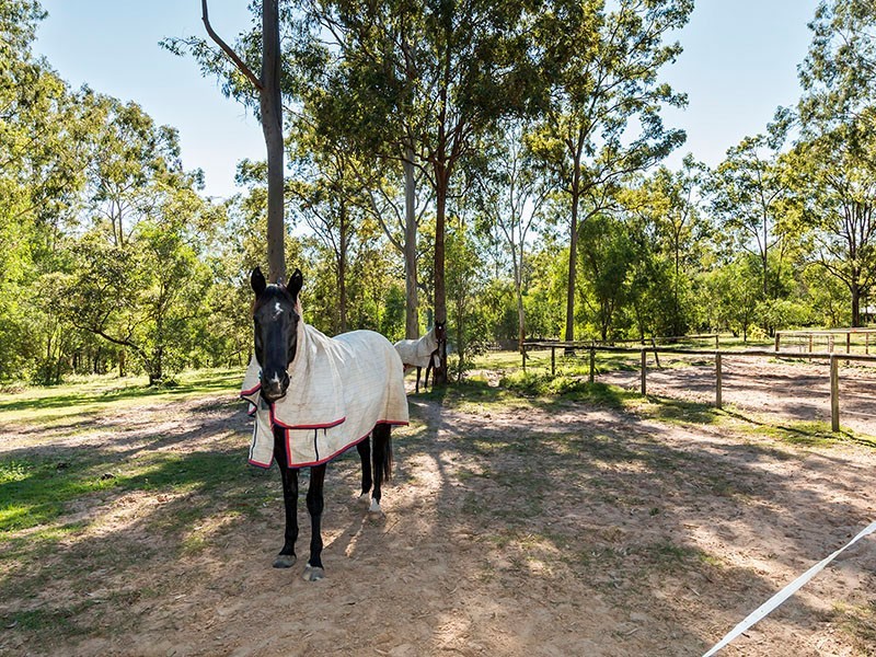 317-329 Mountain Ridge Road, South Maclean QLD 4280