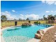 288 Cedar Grove Road, Cedar Grove QLD 4285