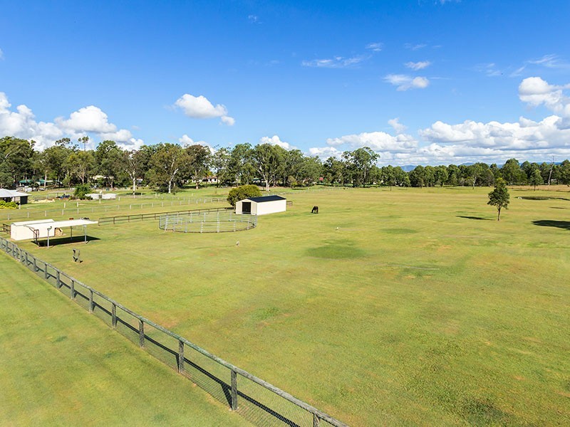 288 Cedar Grove Road, Cedar Grove QLD 4285