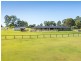 288 Cedar Grove Road, Cedar Grove QLD 4285