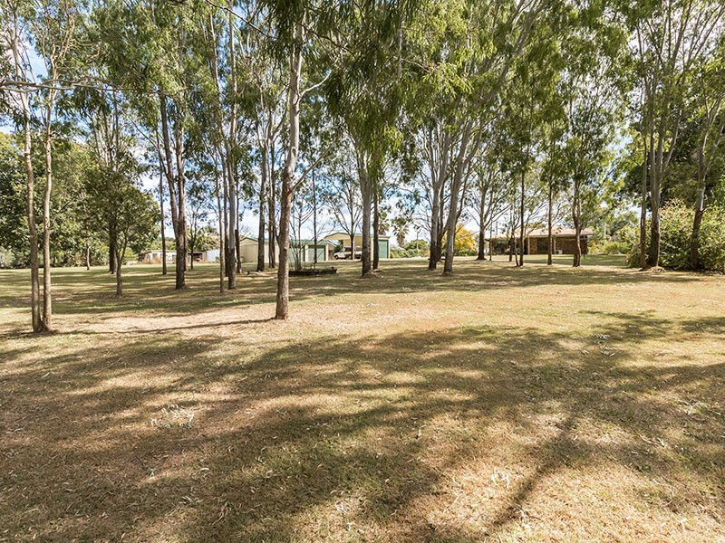 93 Couldery Court, Cedar Grove QLD 4285