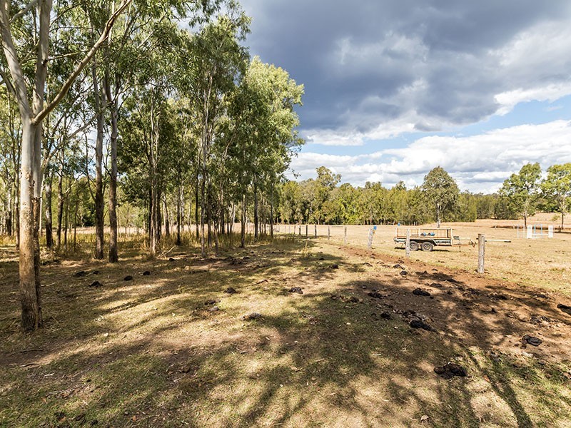 93 Couldery Court, Cedar Grove QLD 4285