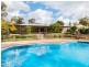 53-55 Silver Wattle Drive, Jimboomba QLD 4280