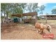145-149 Deltoro Road, Cedar Grove QLD 4285