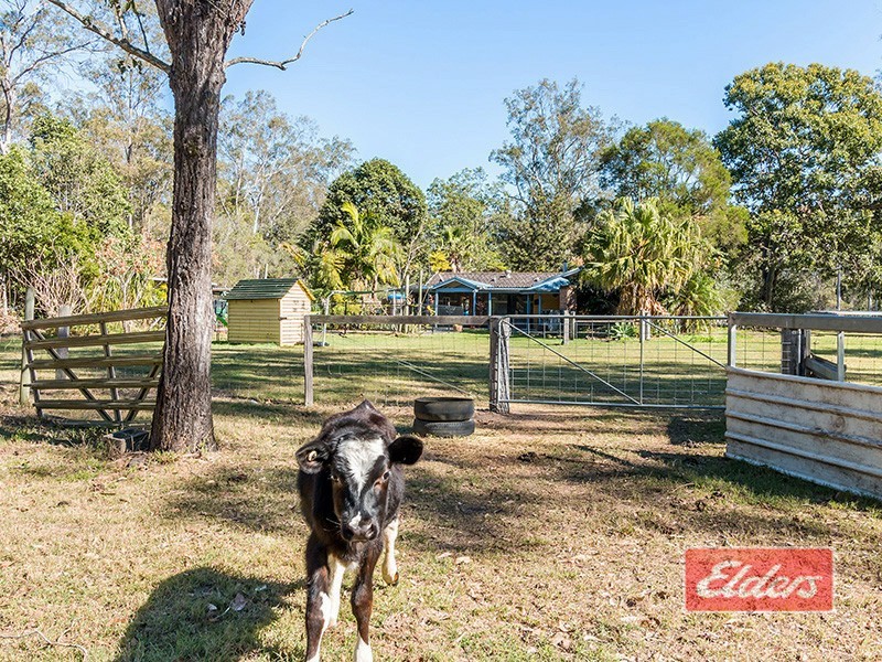 682 Teviot Road, South Maclean QLD 4280