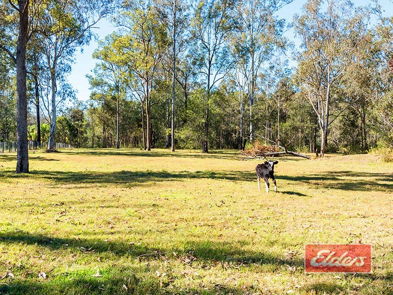 682 Teviot Road, South Maclean QLD 4280