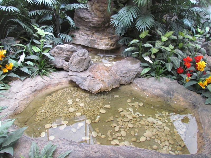 12-15/201 Mann Street, Gosford NSW 2250