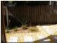 8/9 Harbour Boulevard, Bomaderry NSW 2541