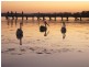 St Georges Basin NSW 2540